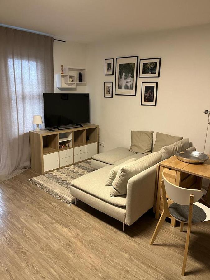1 Zimmer Wohnung Mit Der Terrasse In Der Innenstadt Висбаден Екстериор снимка
